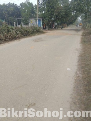 জমি